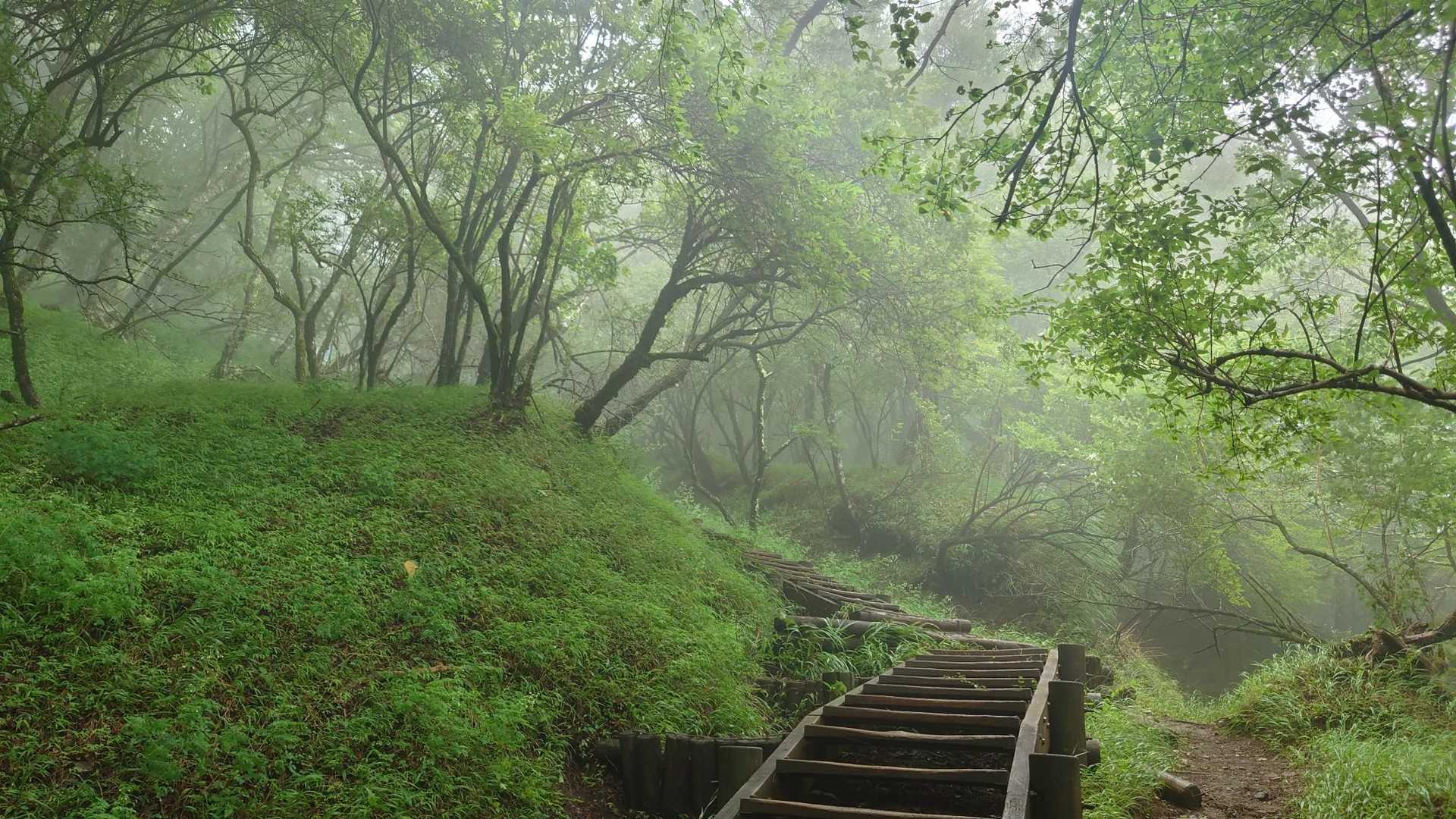 塔ノ岳大倉尾根コースの写真