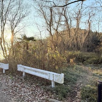すぐに一ツ山への分岐に
😳山頂見えてます〜😁