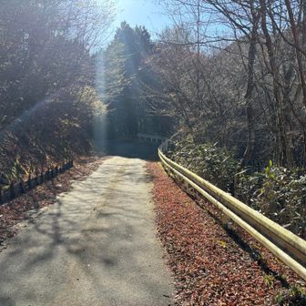 林道歩き
葵高原へ