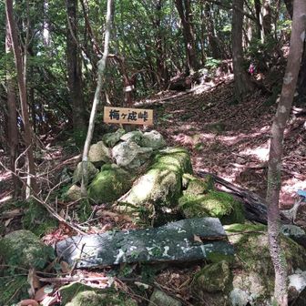 梅ヶ成峠