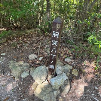 やっと終わった