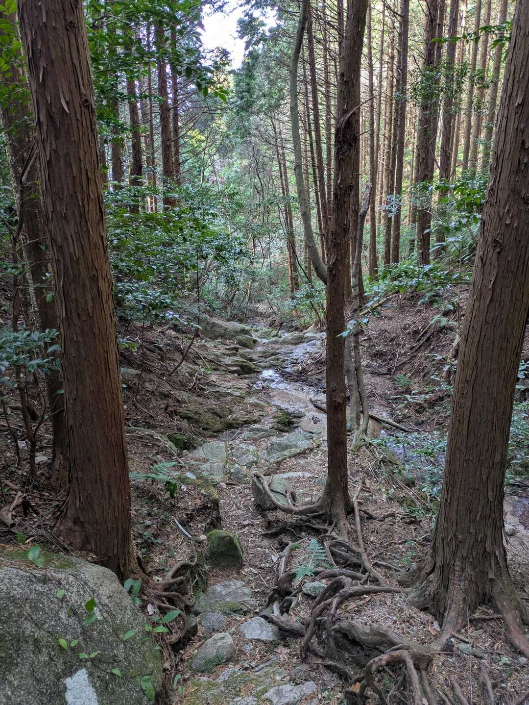 叶岳登山口-叶岳 周回コースの写真