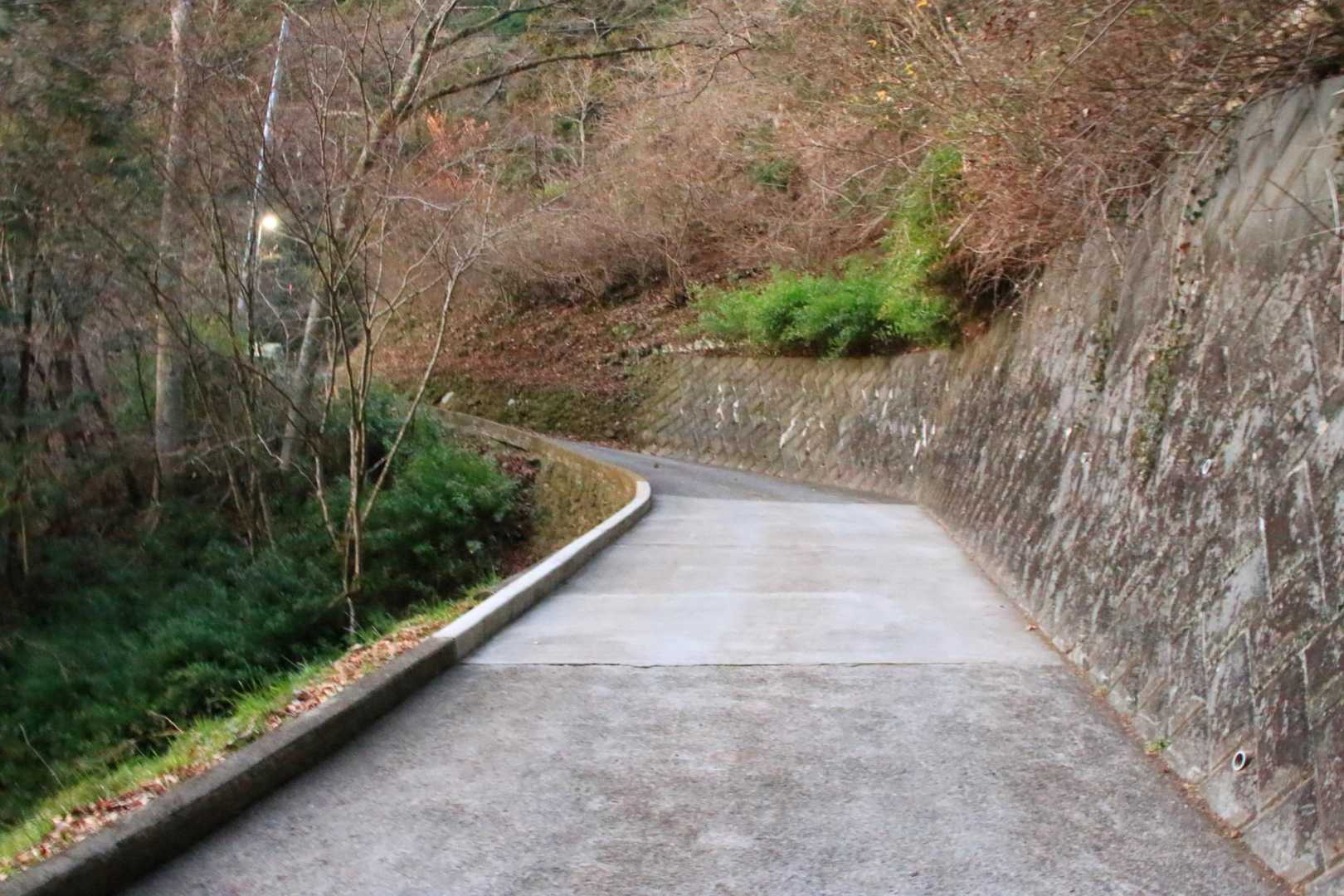 鎌沢駐車場からひたすら舗装路を登る💦
ものすごい急坂！！
山歩きよりもここが一番ツラかった🤣🤣