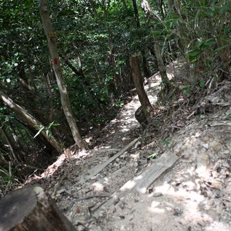 内環状線、行きます、出逢いの広場、まで