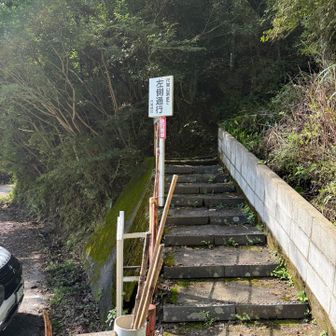 山頂まで道はわかりやすそう。