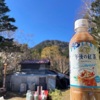 午前ですが「午後の紅茶」で休憩。