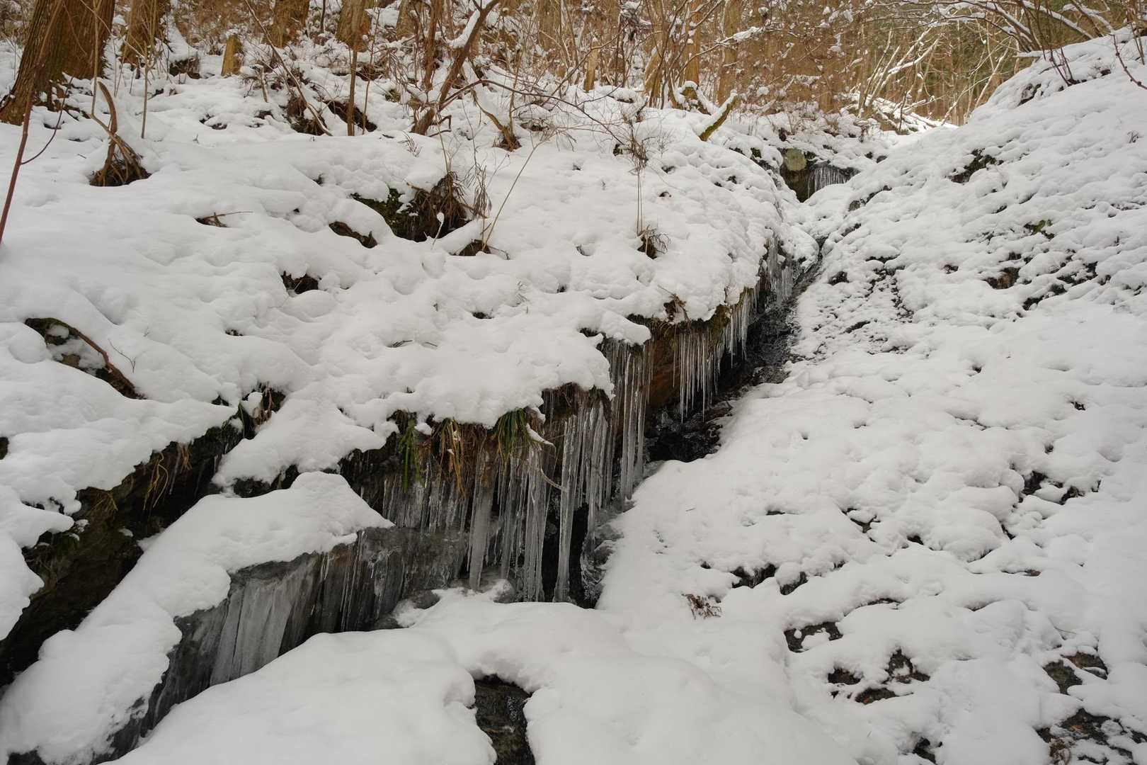 氷柱並んでまた素敵😃