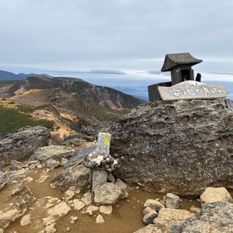 山頂🙌
梯子と鎖があるけど大丈夫な範囲。