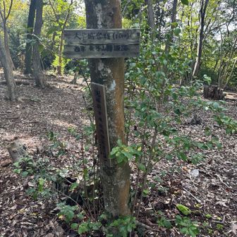 兜山山頂✨