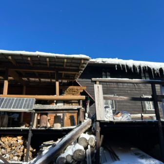 去年は1/4営業してたから・・・今度は電話してから来よう