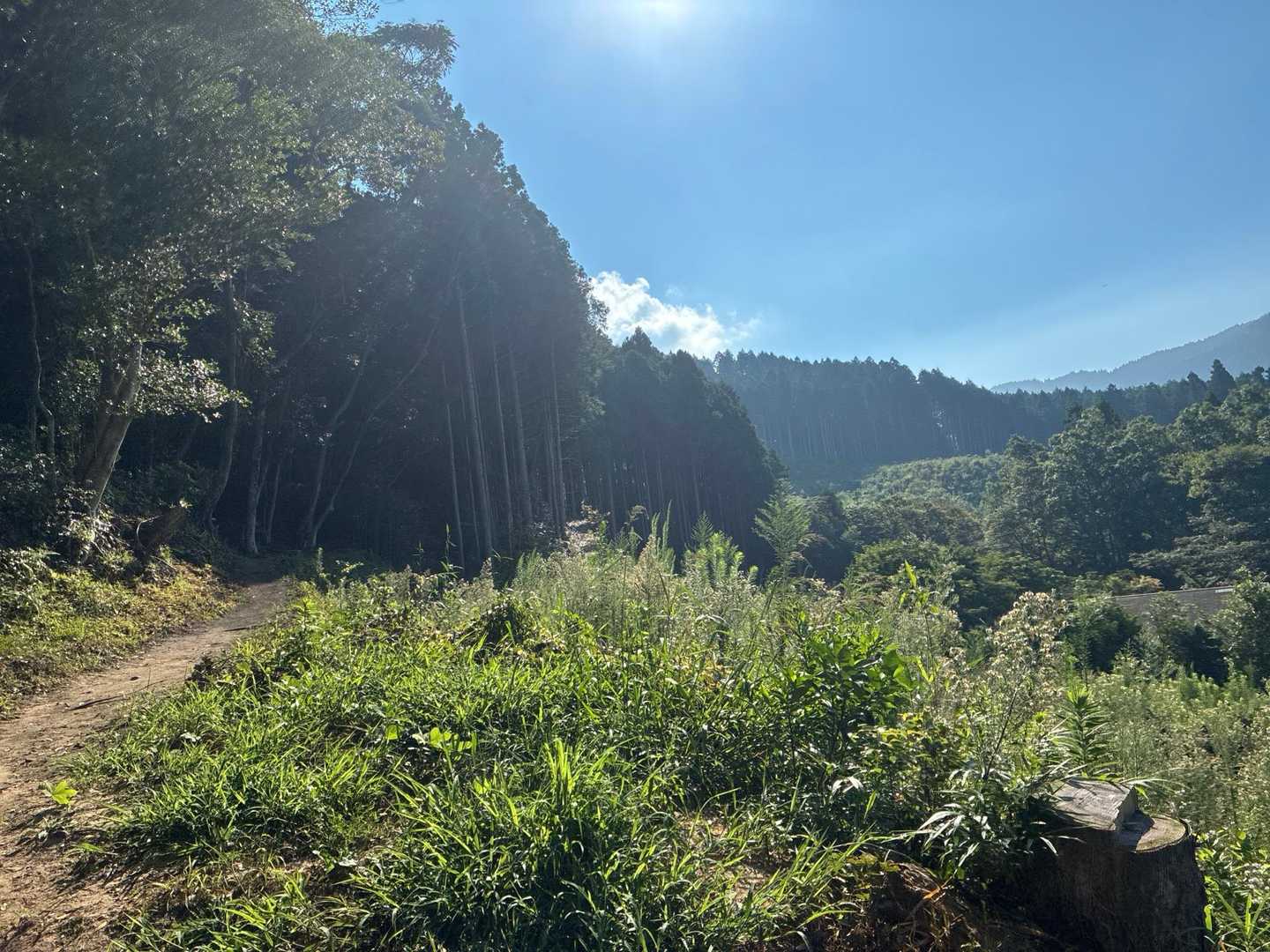 二丈岳 往復 | 沢沿いを涼しく歩き、山頂の巨岩から糸島の絶景を楽しむの写真
