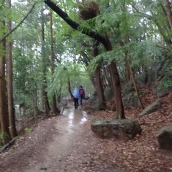 帰り道はびっちょびちょ…😓
とにかく滑らないように、ともちゃんとHさんの後をついて行きます🌧️