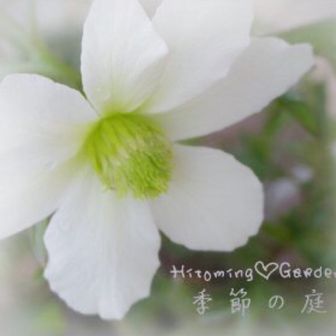 Hitoming♪ -ひとみん♪-