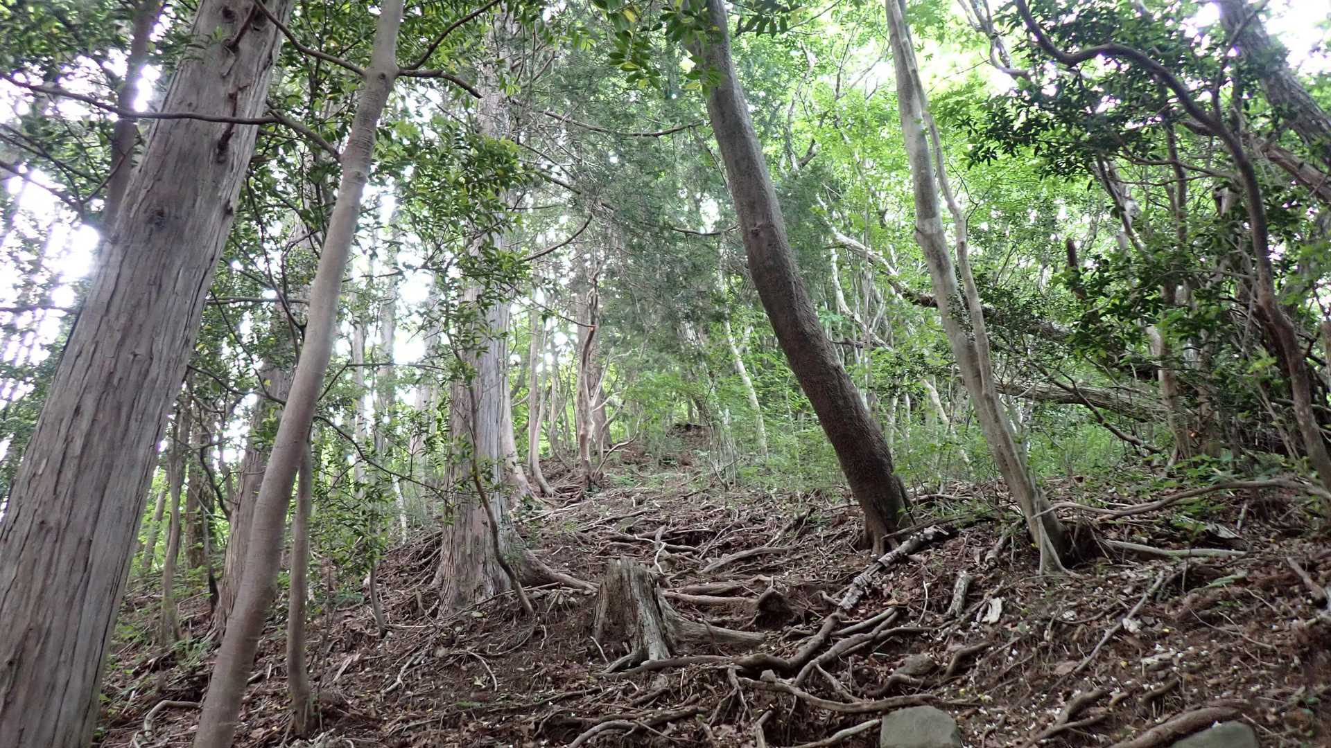 登りは急峻な女岳コース😅