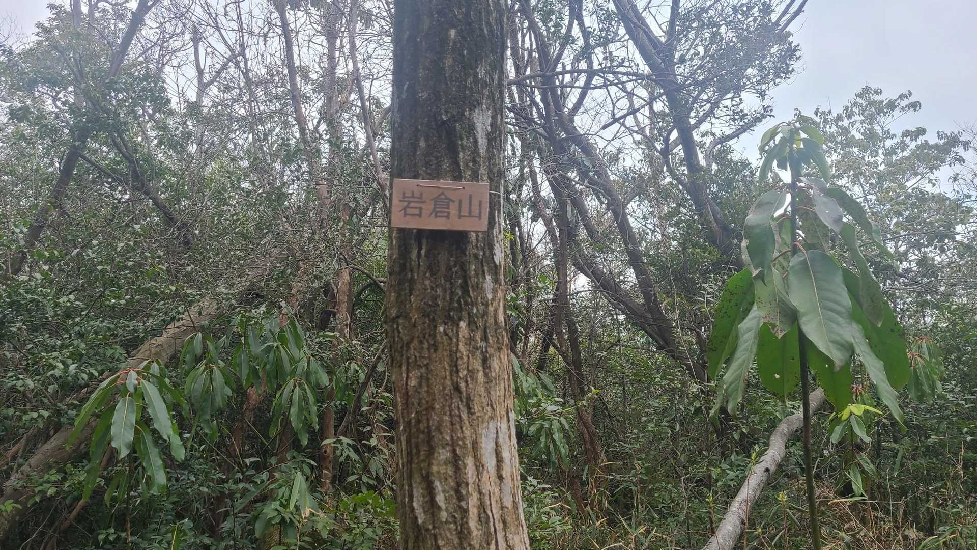 山頂到着
