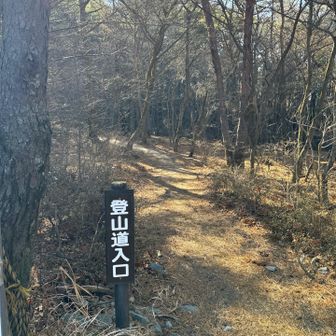 さぁ、昼の部開始！