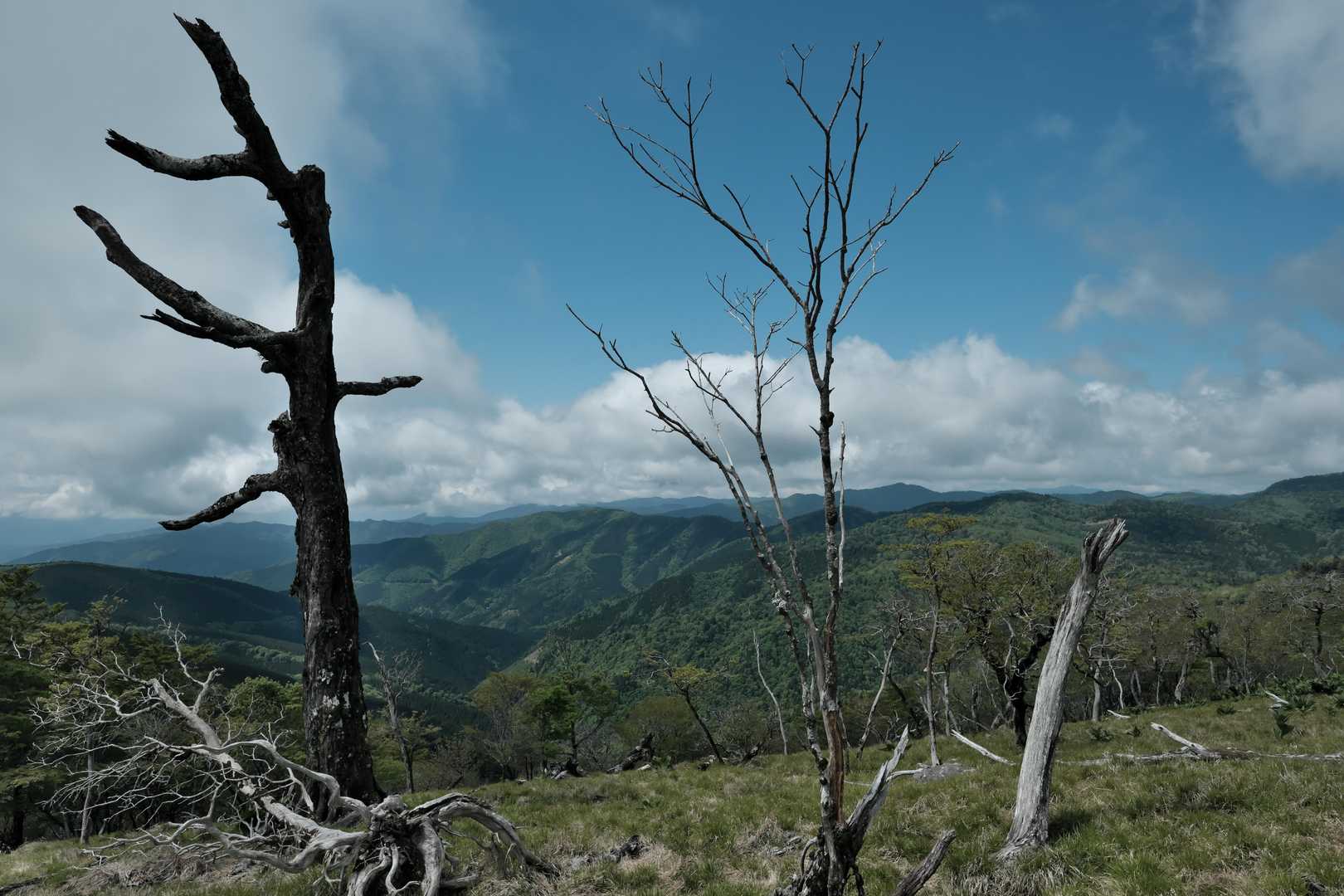 脊梁山脈の南側①