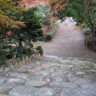 下のもみじの公園に2組のカップル