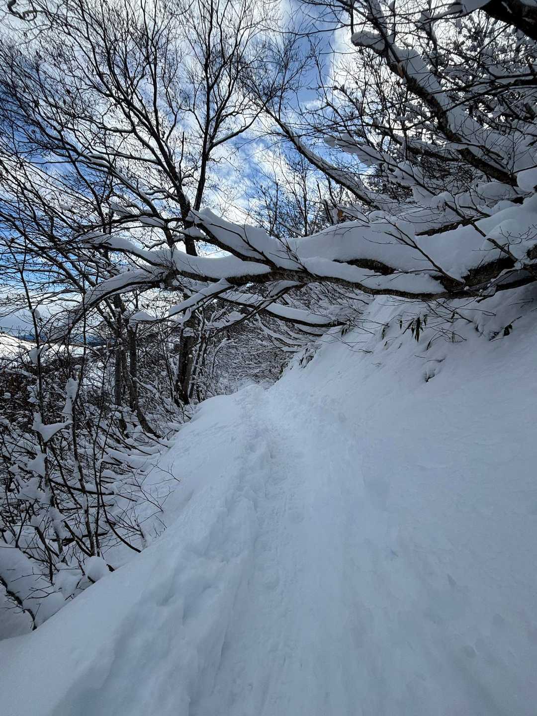 こんな雪道も大好き❤