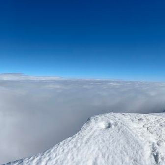 あー帰りたくない