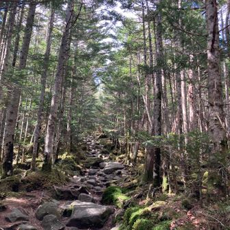 石ゴロゴロだけど歩きやすいし、涼しくて気持ちイイ♪♪(^-^)