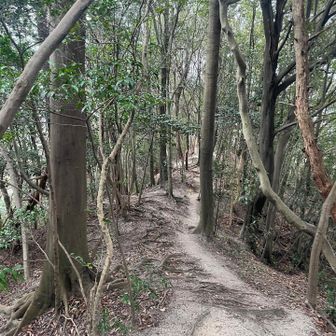 こんな感じのところは楽しかった♪