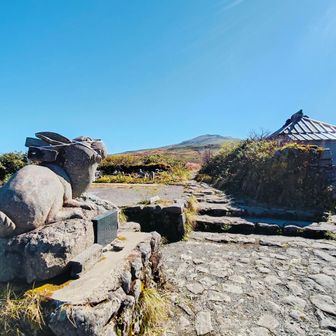 ウサギは月の御使い
月山神社の使徒です。