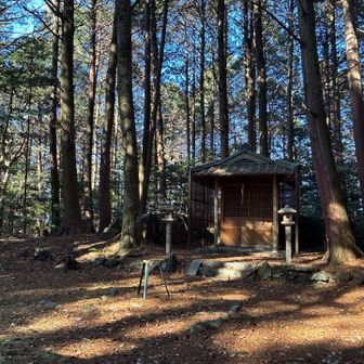 山頂はこのお社の裏側