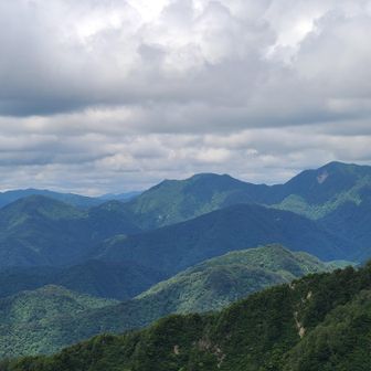 途中で諦めた鷲ヶ巣山(￣□￣;)!!