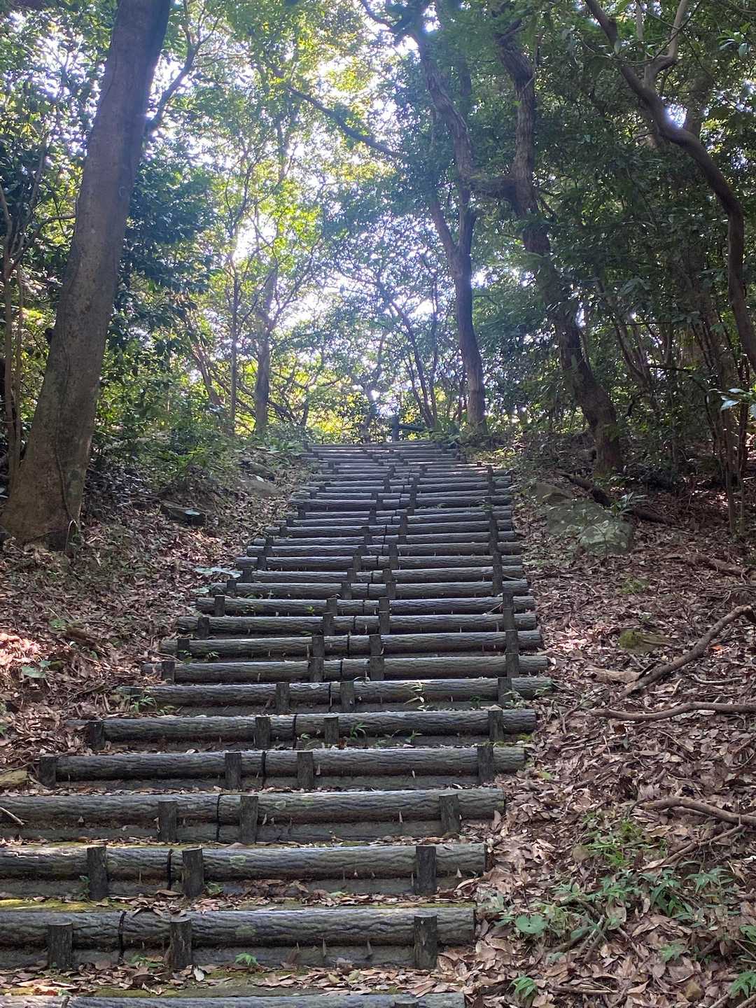 この階段が展望台まで続く。結構長い。
