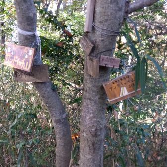 サンドイッチ山