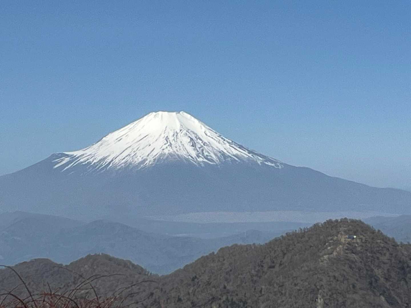 釜立林道（青根）-姫次-蛭ヶ岳 往復コースの写真