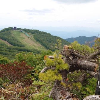 五郎岳から中央ゲレンデが見える⛷️