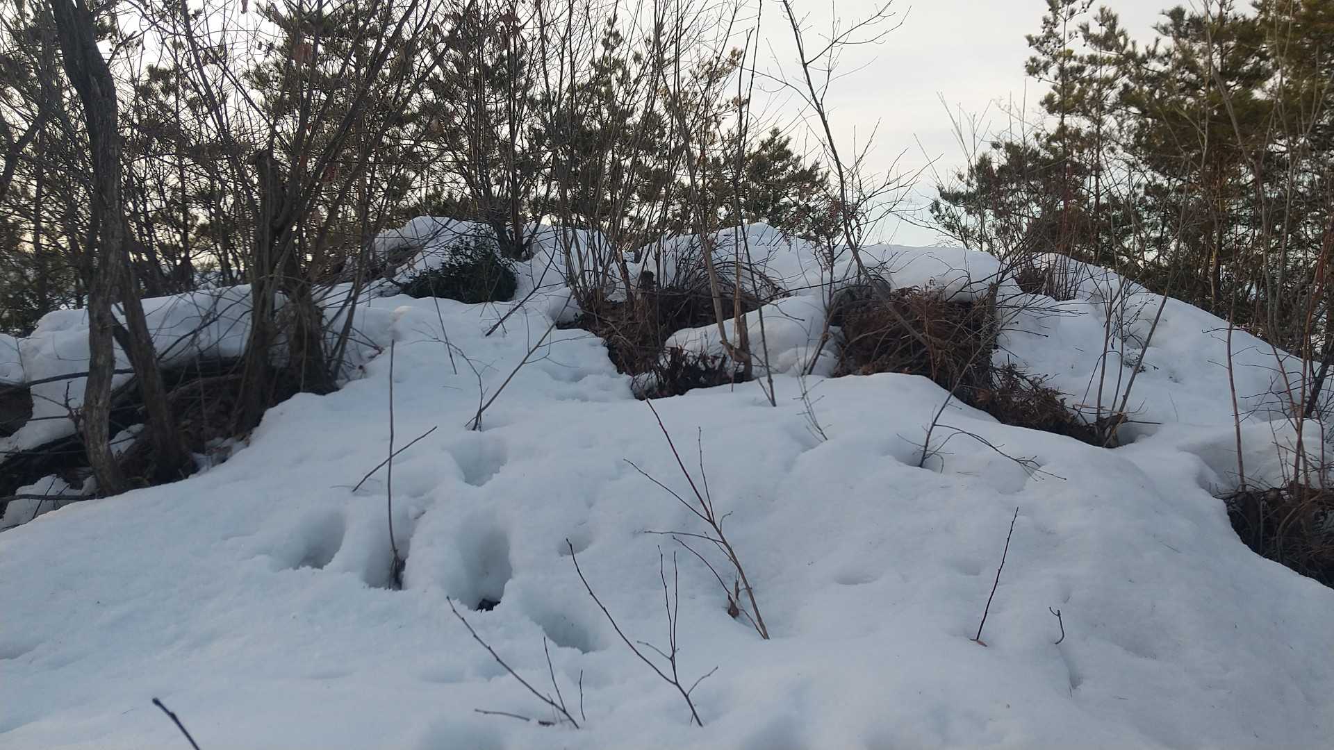 山頂です😅
登っている途中で高２の高校生に会いました。