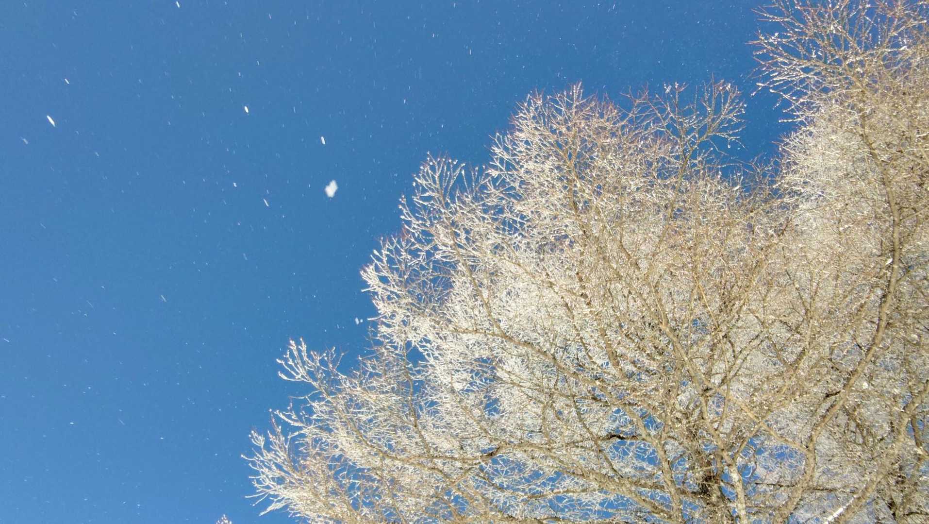 霧氷も残っててよかった✨