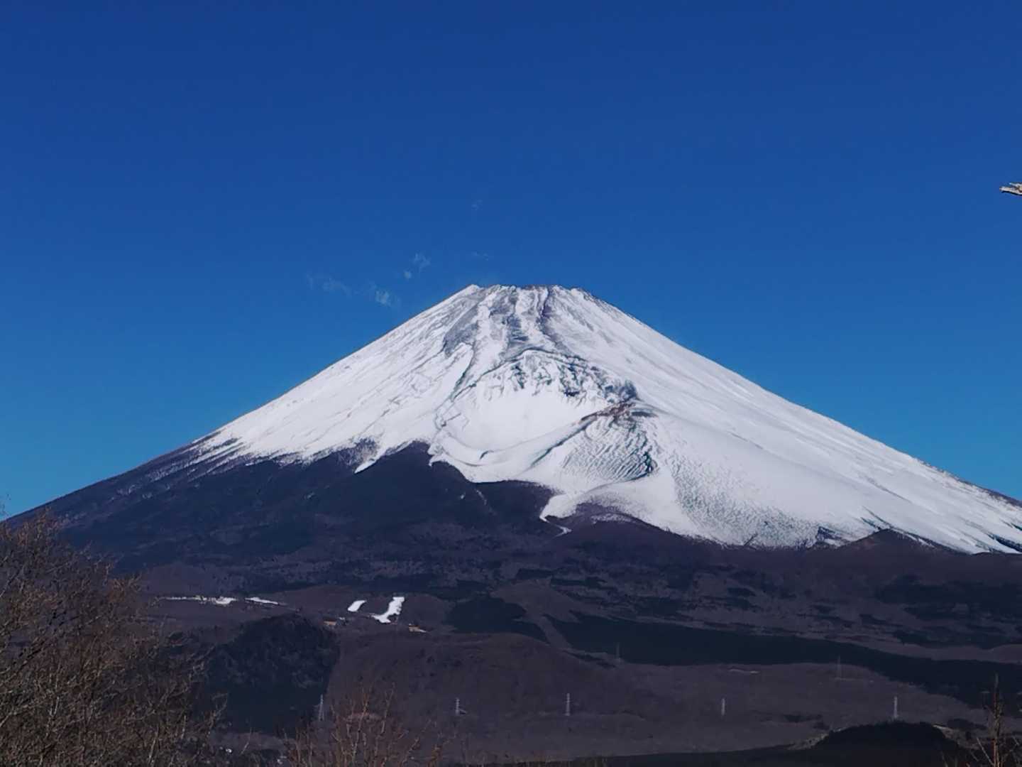 須山愛鷹登山口-富士見峠-黒岳 往復コースの写真