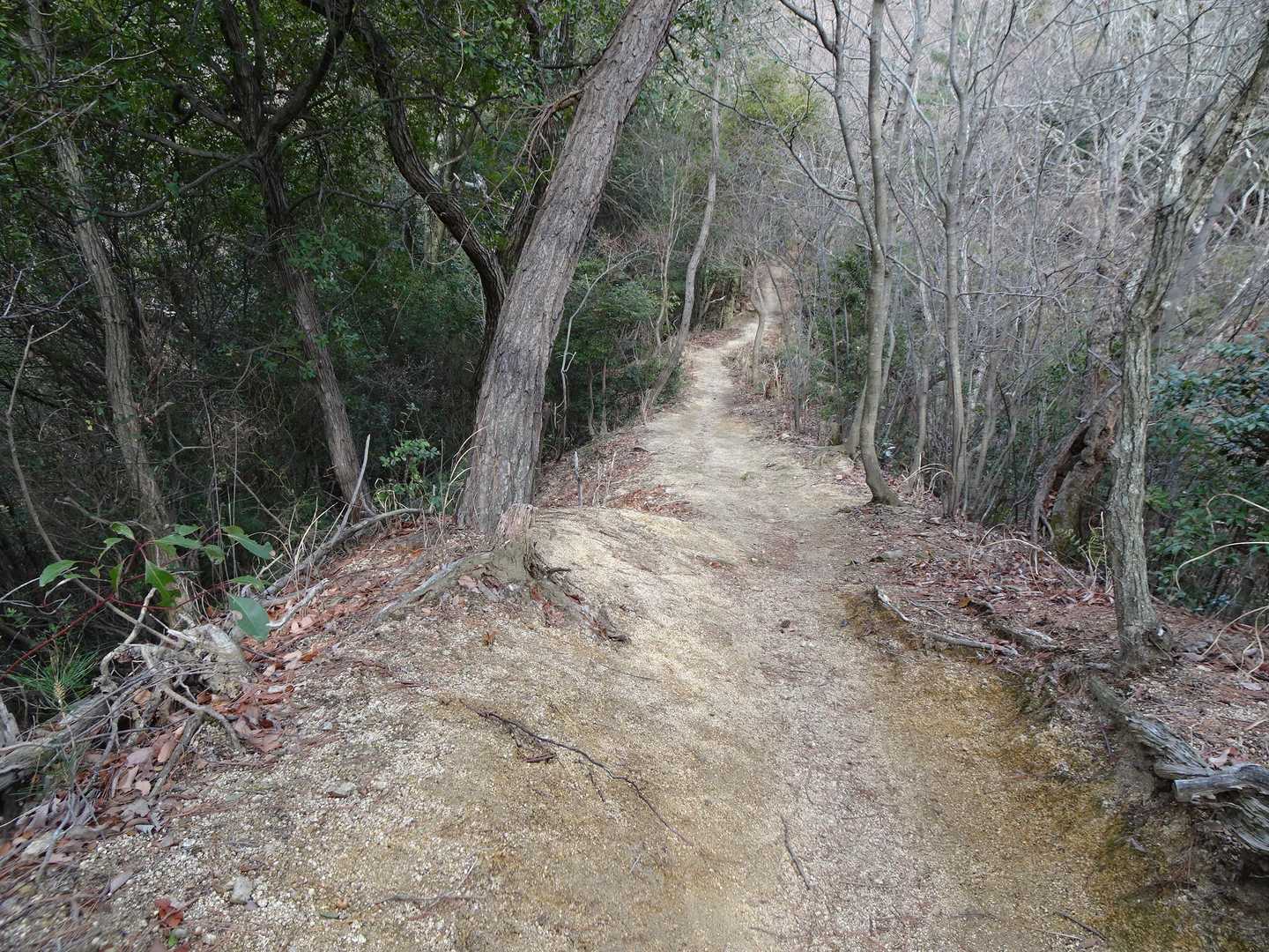階段を下りると綺麗な尾根道となり