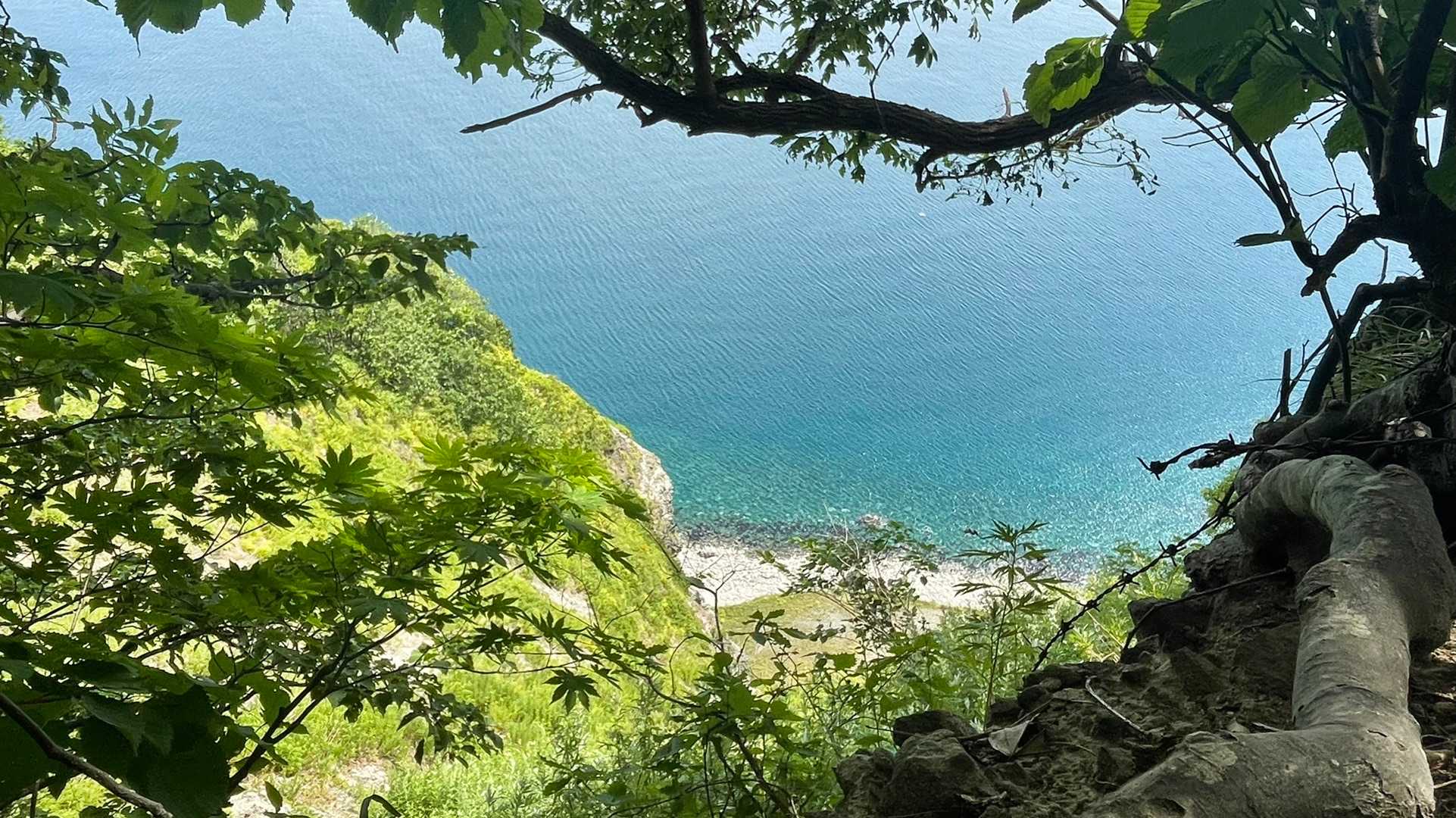 尻場山登山口-尻場山 往復コースの写真