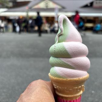 桜とよもぎのソフトクリーム４５０円