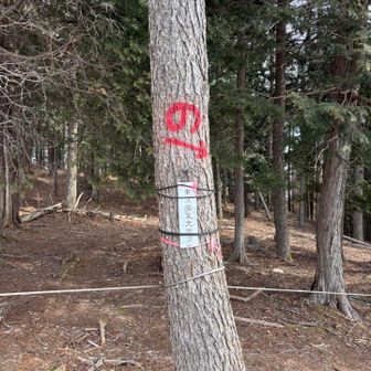 山の中至る所に「の」。残すののかな？