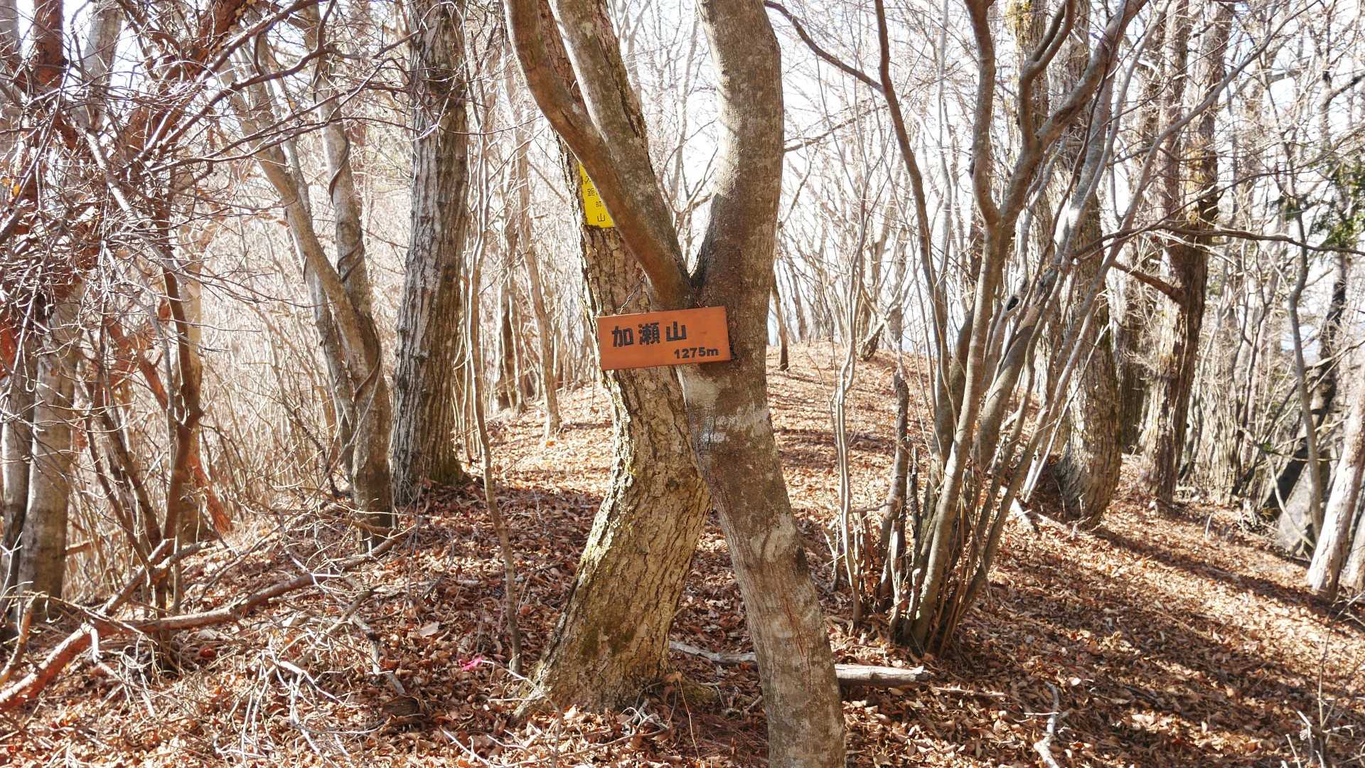 加瀬山(500座目)👏