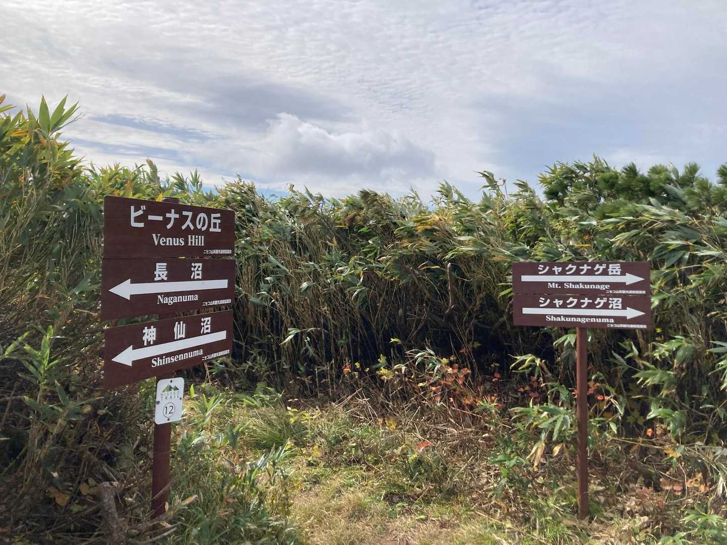 シャクナゲ岳⛰️に向かいます！