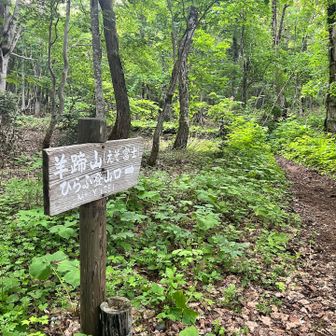 登山口もうろ覚えでした😅

駐車場は既に半分くらい埋まっていて
スタートした人も見えて
安心感ある〜