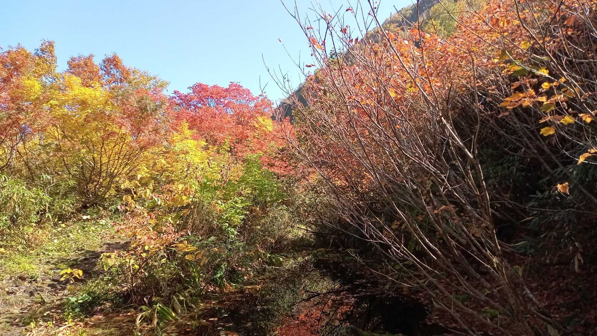雨飾山登山口-雨飾山 往復コースの写真