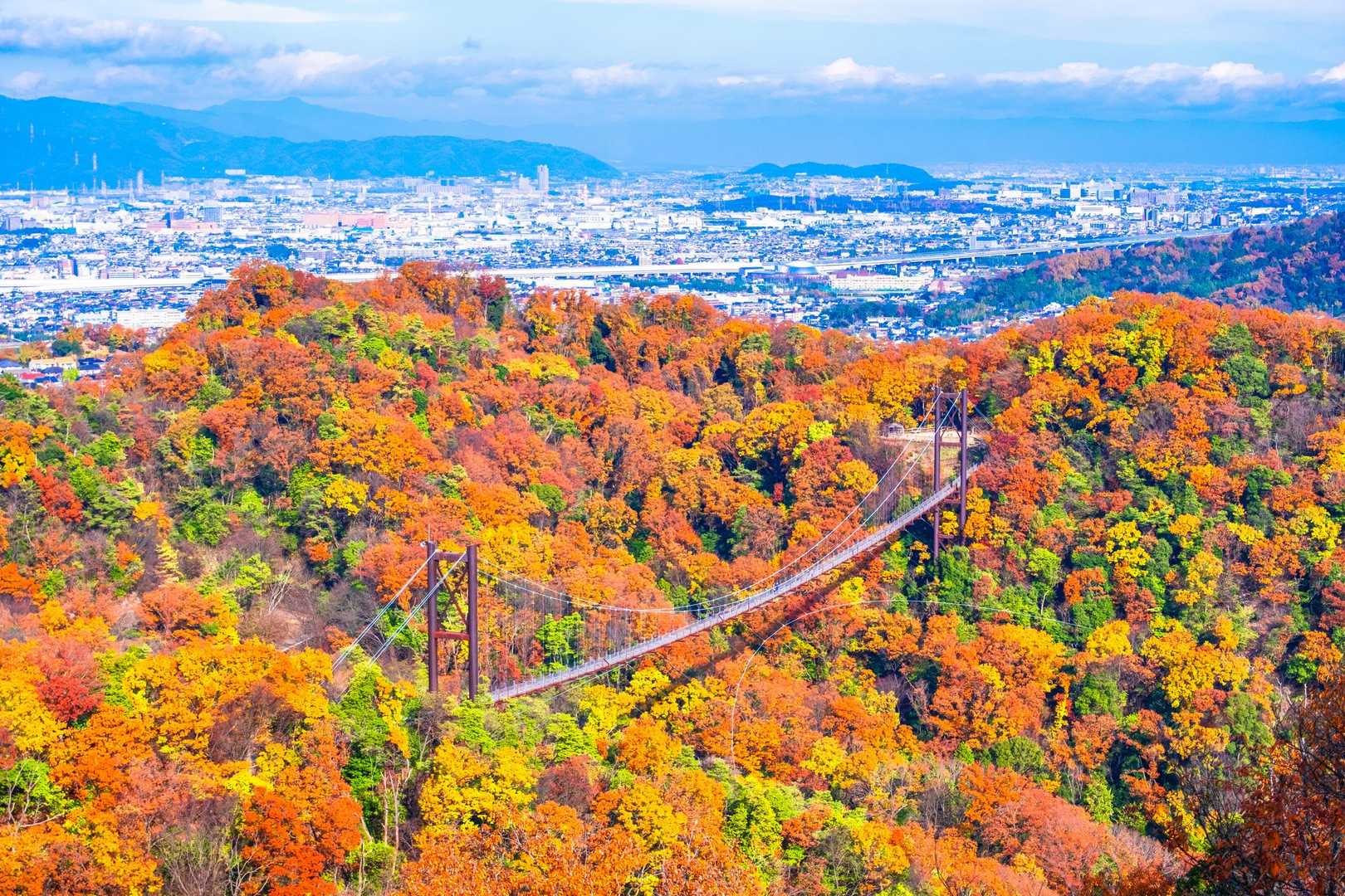 山のおもてなし｜星のブランコ眺望ハイキングの写真