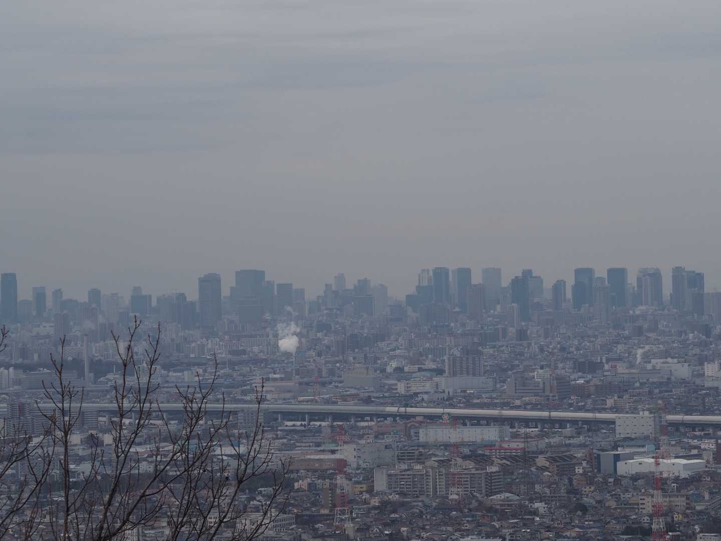 大阪のビル群🏙🏙