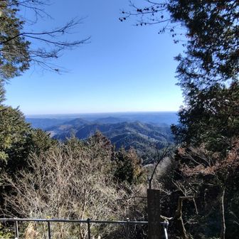 スカイツリーに新宿のビル群もしっかり見えました