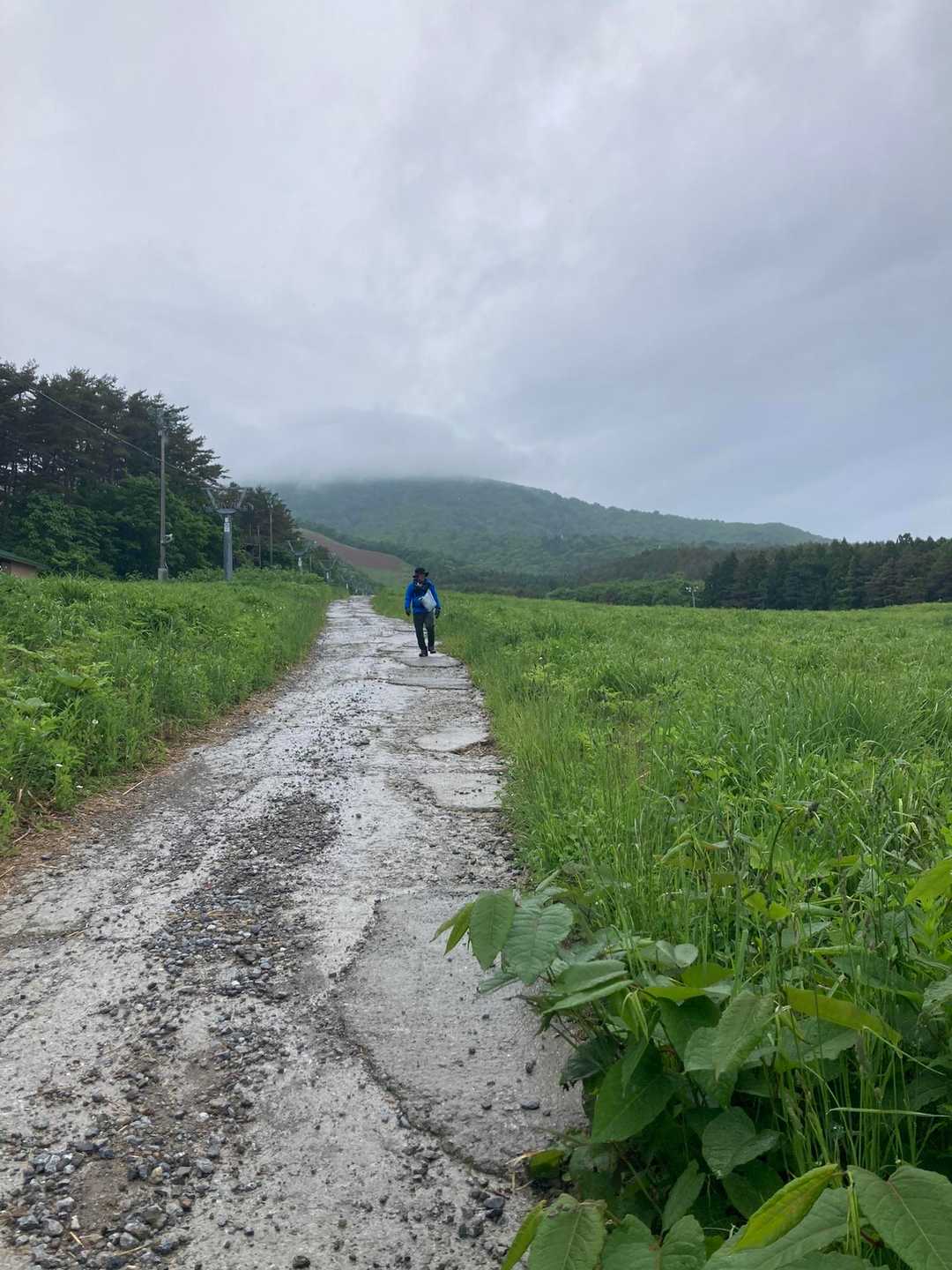 釜臥山 往復コースの写真