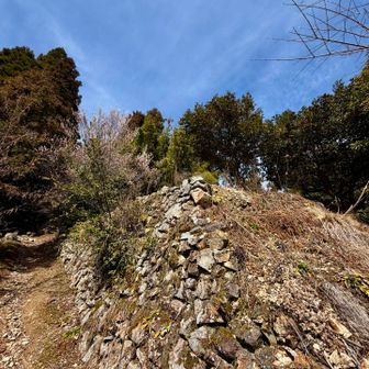 石垣残ってます