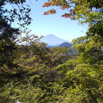展望園地

今日は見えると思って見えたとき